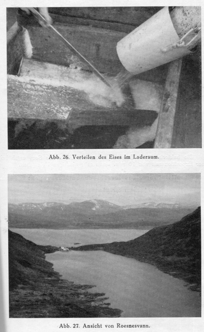 Ansicht von Roesnesvann